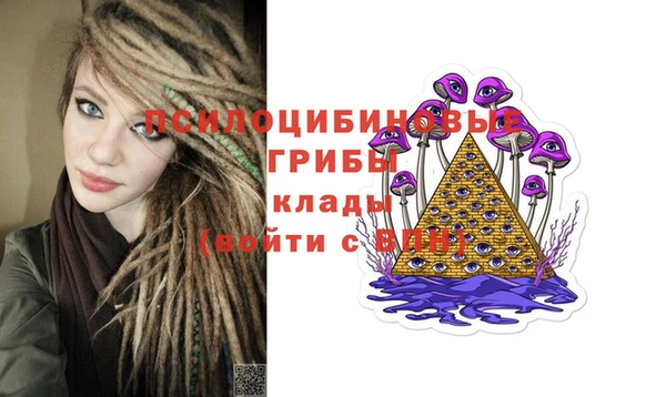 гашик Балабаново