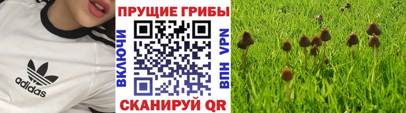 Галлюциногенные грибы MAGIC MUSHROOMS  Рудня 